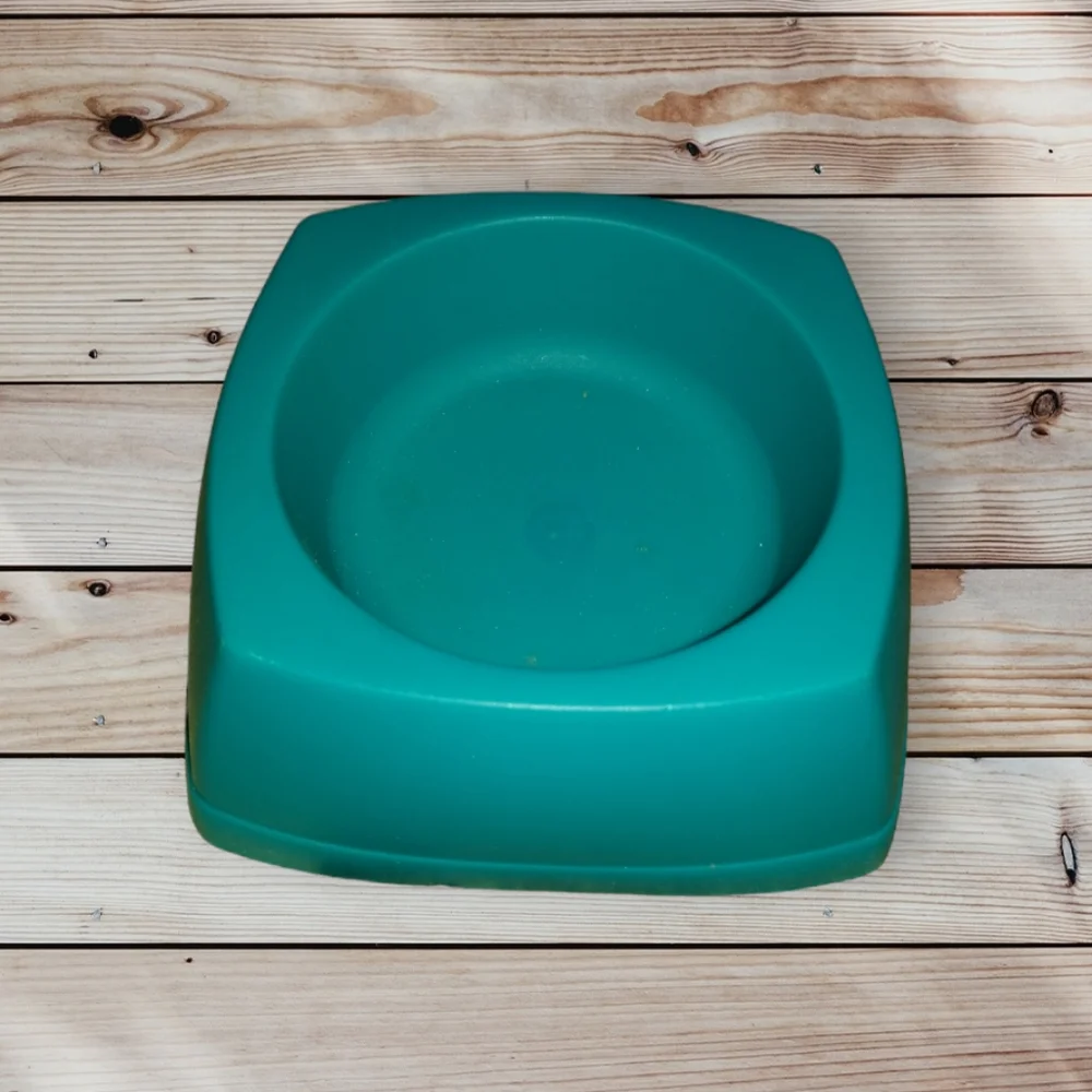 Rodent Bowl LOT
